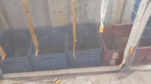 начинаем с нуля