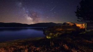 Cricket night Ночь сверчки