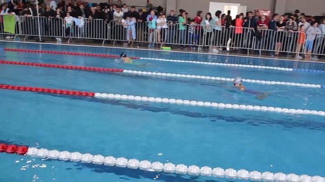 Веселый Дельфин. 17.03.2019. Девочки. 100 м. Брасс. №1. 2008-2009 г.р. смотреть онлайн