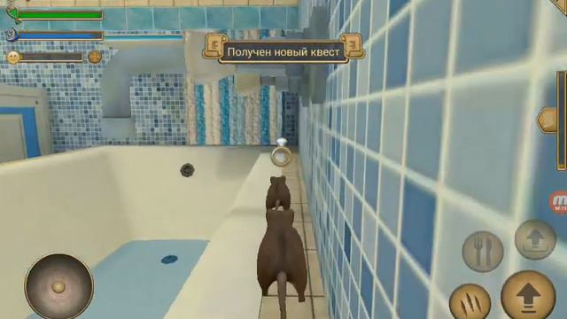 СИМУЛЯТОР маленькой МЫШИ #6 УЛУЧШИЛИ ГНЕЗДО ДО МАКСИМАЛЬНОГО УРОВНЯ и НАПАЛА МЫШЬ! смотреть онлайн