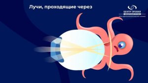 Как работают ночные линзы?