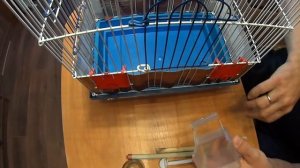 Полезные мелочи и советы при ловле, содержании певчих птиц №3 Клетка-советы.