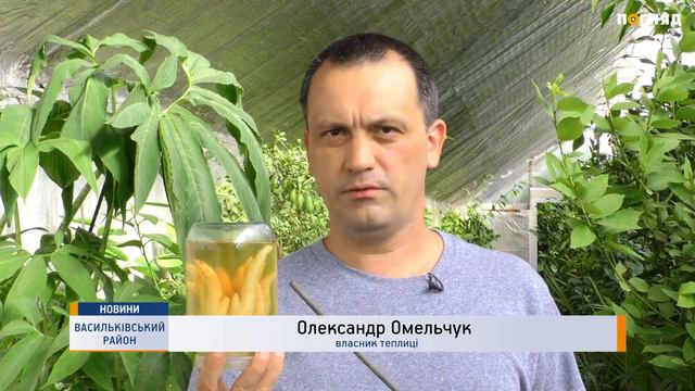 Тропіканка на Васильківщині смотреть онлайн