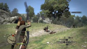 Dragon's Dogma Class Guide: RANGER