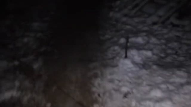 НАПАЛА ЗЛАЯ СОБАКА!!!(не кликбейт) ИЗ ДОМА МОНЬЯКА?! смотреть онлайн