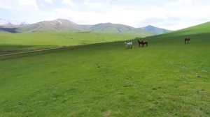 Azərbaycan, Daşkəsən şəhəri və Bayan kəndi / Азербайджан, город Дашкесан  и село Баян