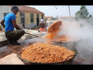 Варим собственноручно выловленную креветку в Азовском море. Ейск 14.НОЯБРЯ 2020.