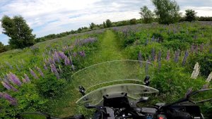 NC проедет: по велосипедному маршруту минуя Белоомут