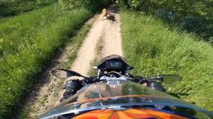 BMW G310gs Мини-Гусь на грунтовках и легкому бездорожью