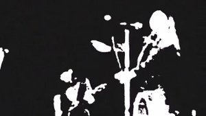 CИБИРСКИЙ МОРОЗ