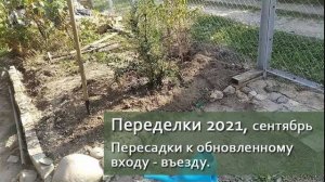 Переделки. Пересадки к обновленному входу-въезду | Vlog Дача как есть, хроника сентябрь 2021
