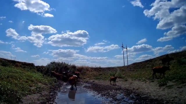 Сплав по реке Кумшак на SUP смотреть онлайн