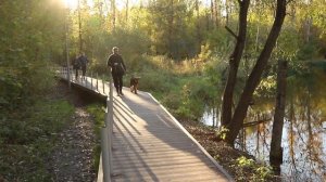 От метро «Давыдково» до Верейской улицы проложили пешеходный маршрут