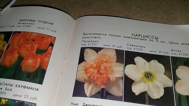Каталог нарциссов! смотреть онлайн