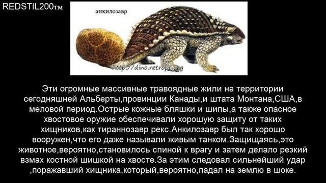 История вымерших животных(анкилозавр)