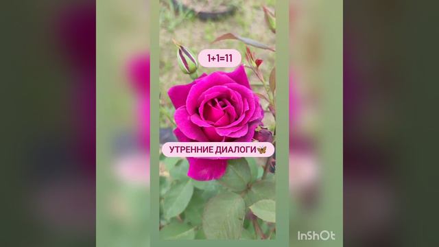 08. 06.2023 Осознаность и слои реальности