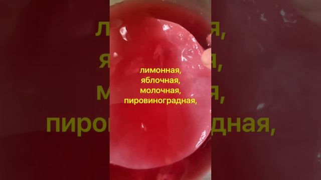 Чайный гриб Каркаде смотреть онлайн