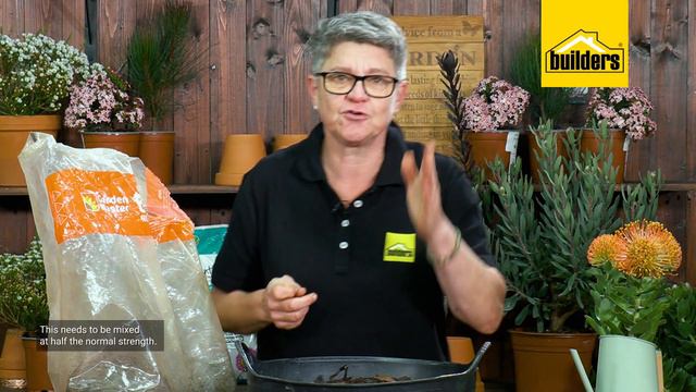 How to care for Leucospermums / Pincushions смотреть онлайн