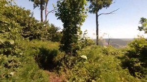 Гора Отважная. Самарская Лука.