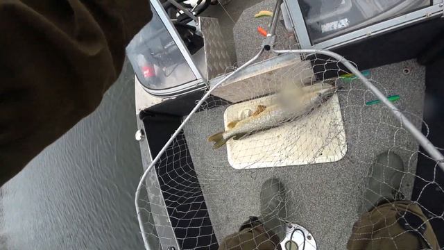 НАШЛИ ЩУК И СРАЗУ ПОИМКА! рыбалка на спиннинг смотреть онлайн