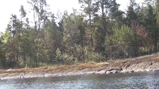 Verkkosaari2021