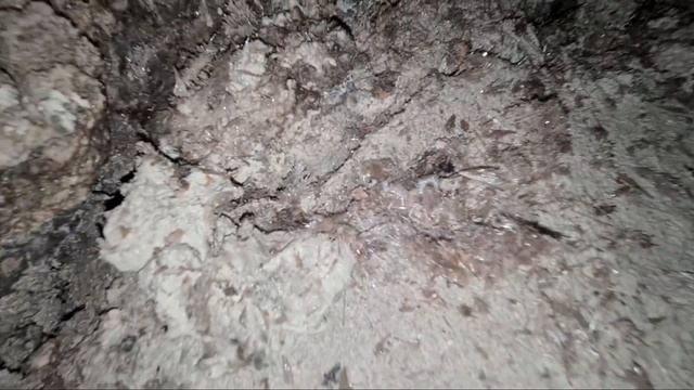 мы открыли новую пещеру в горах Нохчий-Чоь we opened a new cave 01.11.2020 смотреть онлайн