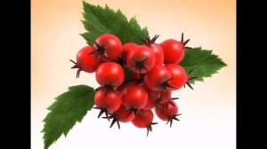 Боярышник Форте Эвалар в разных скоростях с 0,125x по 8x (Реклама вышла в 2010-2011)