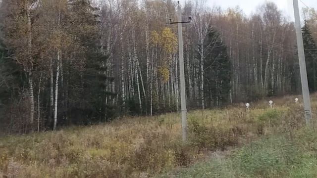 2020 октябрь 17 Лихославль смотреть онлайн