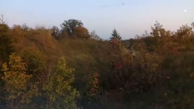 Wels 250 & raptor 140 смотреть онлайн