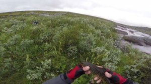 Рыбалка на Кольском. Ловля кумжи на вертушки и колебалки