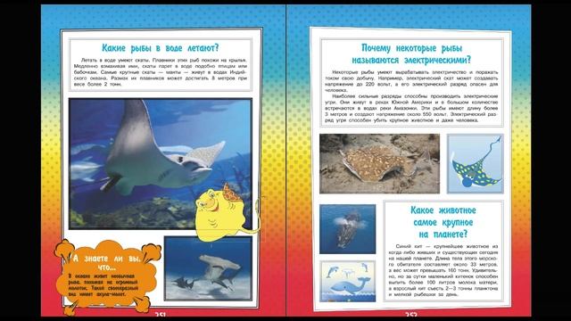 Что? Зачем? Почему? Растительный и животный мир 8 смотреть онлайн