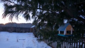 Зимняя ночёвка на даче в -30°С