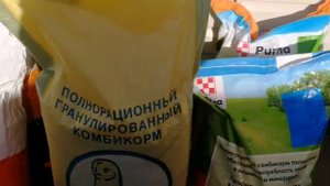 Буду тестировать корма для бройлеров.