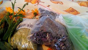 Травы в ветеринарии