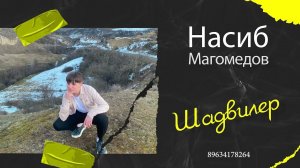Насиб Магомедов Шадвилер