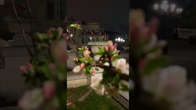 Ночной Севастополь, 20.04.2023.