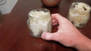 Сотовый мёд в банках