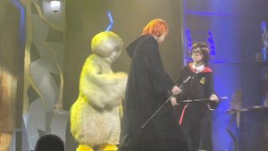 Цирковое шоу «ГАРРИ И ШКОЛА ВОЛШЕБСТВА» 01.04.2023. 12:00 - «ПУТЕВОДНАЯ ЗВЕЗДА»