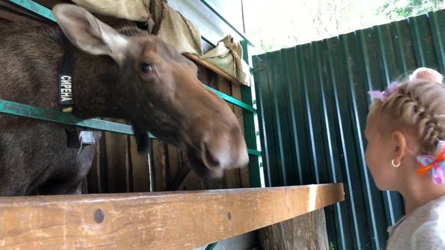 КАТЯ приехала на ЛОСИНУЮ ФЕРМУ смотреть онлайн