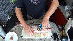 БАЛЫК из Толстолобика. Выпуск №396