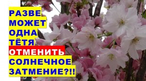 Разве может одна тётя отменить Новолуние и Солнечное затмение?!!