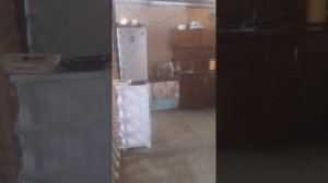 Морской бриз. Абхазия Лдза ул Приморская 15 23.08.2022г.