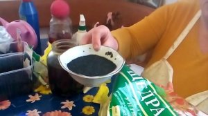 Замачивание лука-чернушки  в растворе "Гумата"