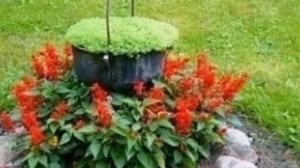 Цветники и клумбы на даче своими руками