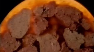 Kitekat advert - 1993 - Mel Smith and Griff Rhys Jones