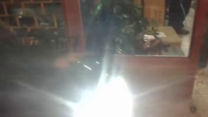 LED P15D-25-1