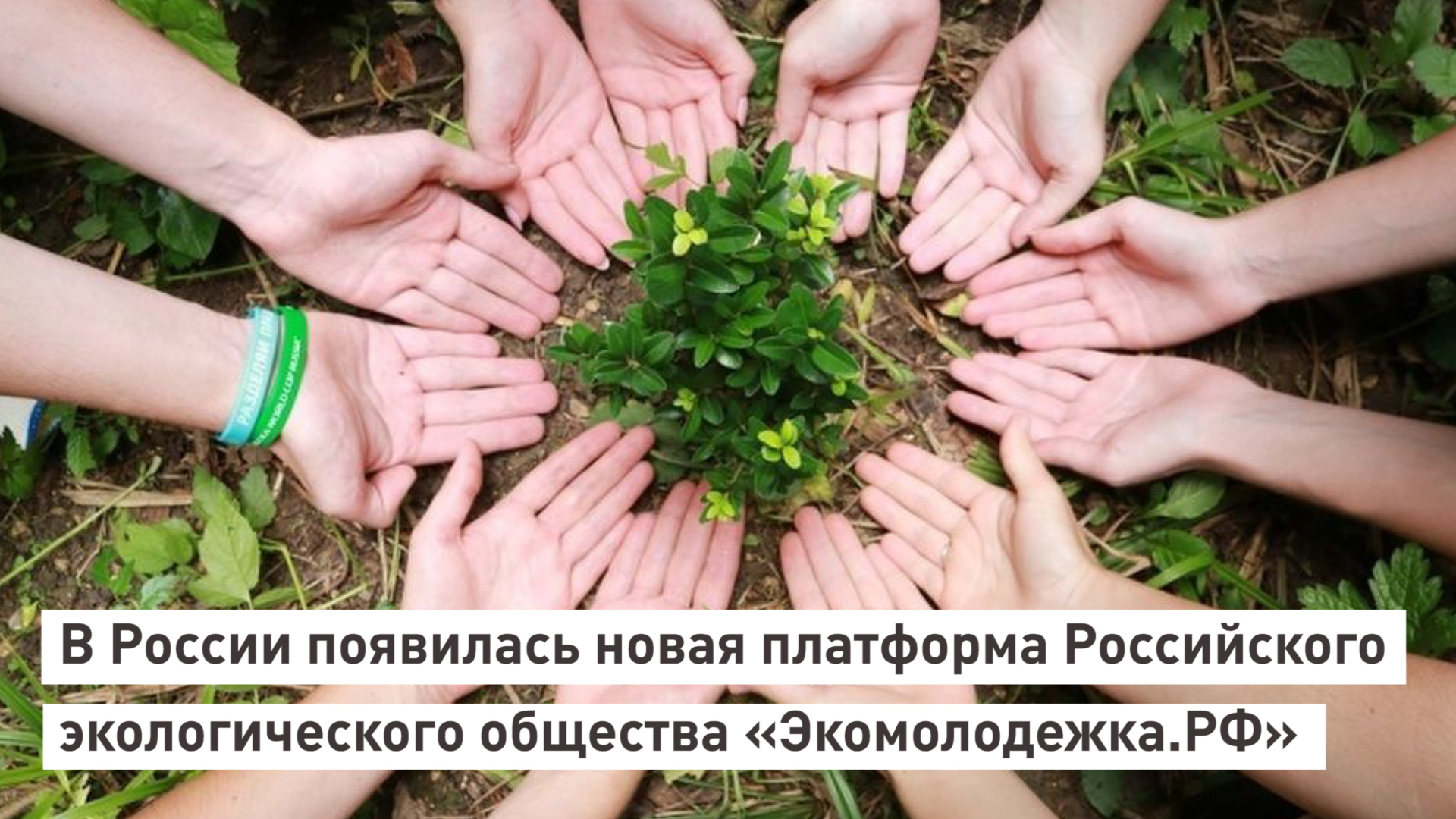В России появилась новая платформа Российского экологического общества «Экомолодежка.РФ»