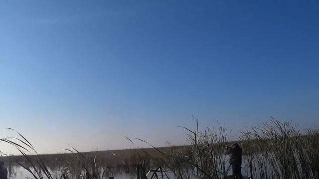 Открытие охоты на утку 2020 осень. 2 день.№18 смотреть онлайн