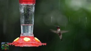 15 интересных фактов о Кубе