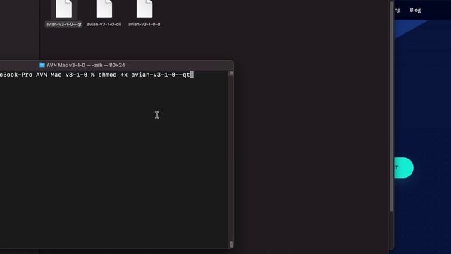 How to run Avian Network (AVN) Wallet in Mac OS смотреть онлайн